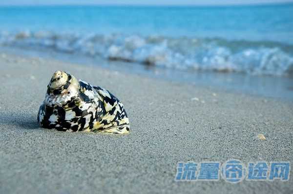 淘宝无限流量校园卡（淘宝无限流量校园卡能用吗）2